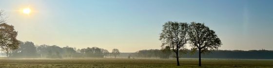 Huisartsenpraktijk Douwes Dekker / Feith